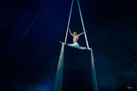 David Hammarberg, Cirkus Arena 2